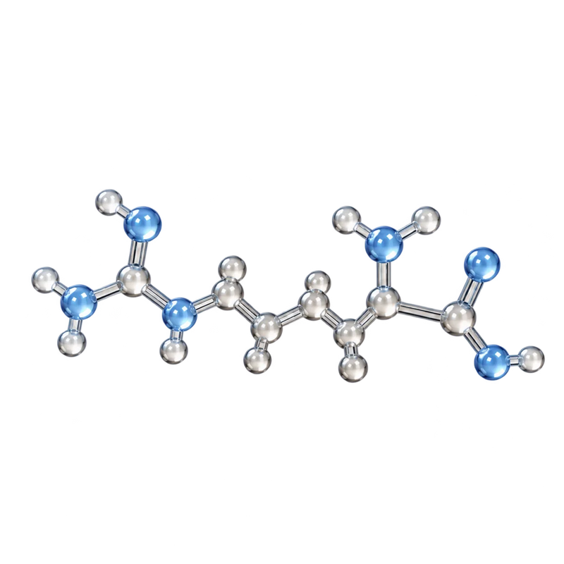 L-Arginina + L-Citrulina