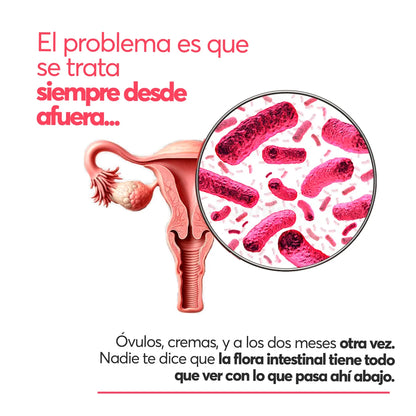 Inflamoff® CANDIOFF® – Bienestar Digestivo y Equilibrio Intestinal