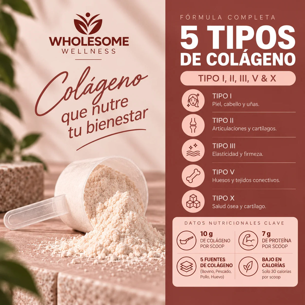 Wholesome Wellness® Multi Collagen Peptides (Tipo I II III V X)